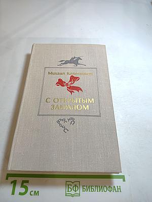 С открытым забралом