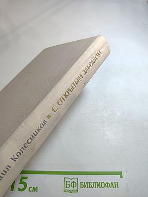 С открытым забралом