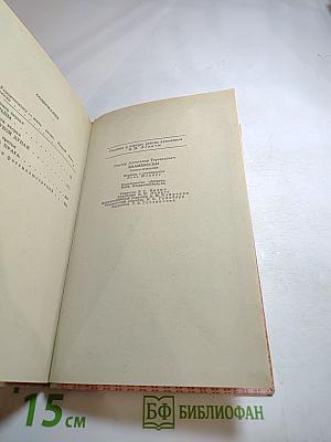 Знаменосцы