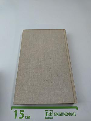 У стен Москвы