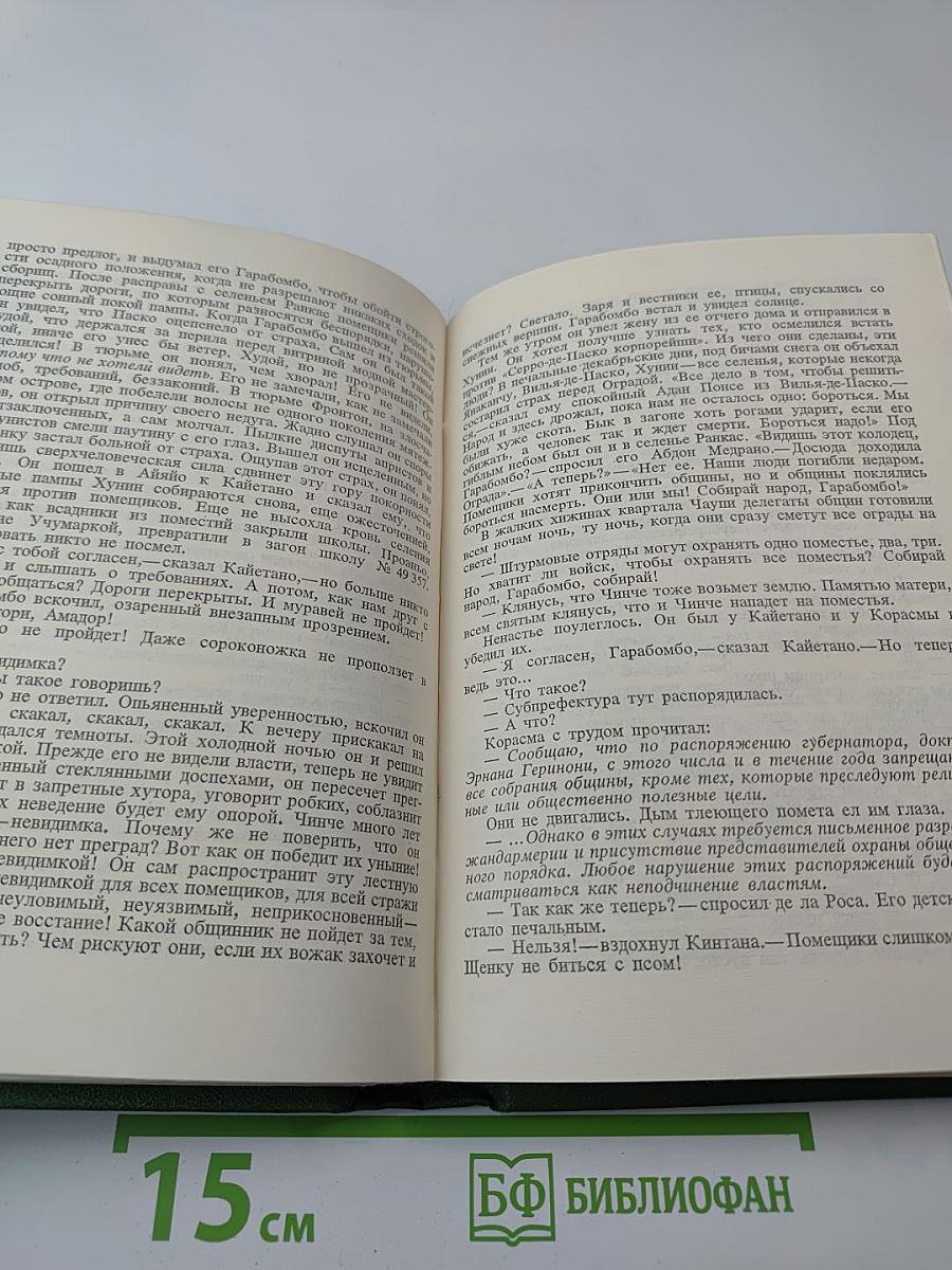 Траурный марш по селенью Ранкас. Гарабомбо-Невидимка. Бессонный всадник. Сказание об Агапито Роблесе