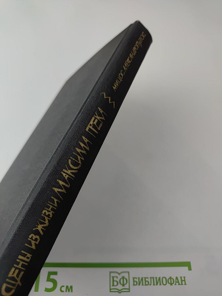 Сцены из жизни Максима Грека