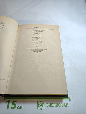 Стрельцы. Русский Икар. Черный ящик