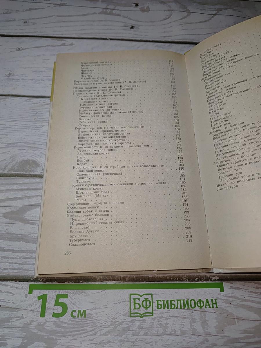 Наши четвероногие друзья