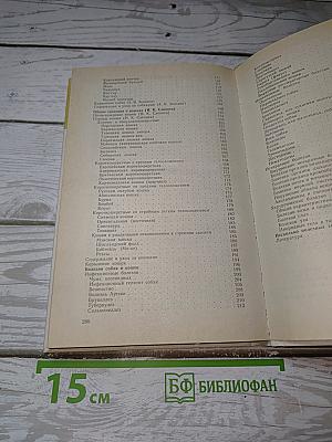 Наши четвероногие друзья