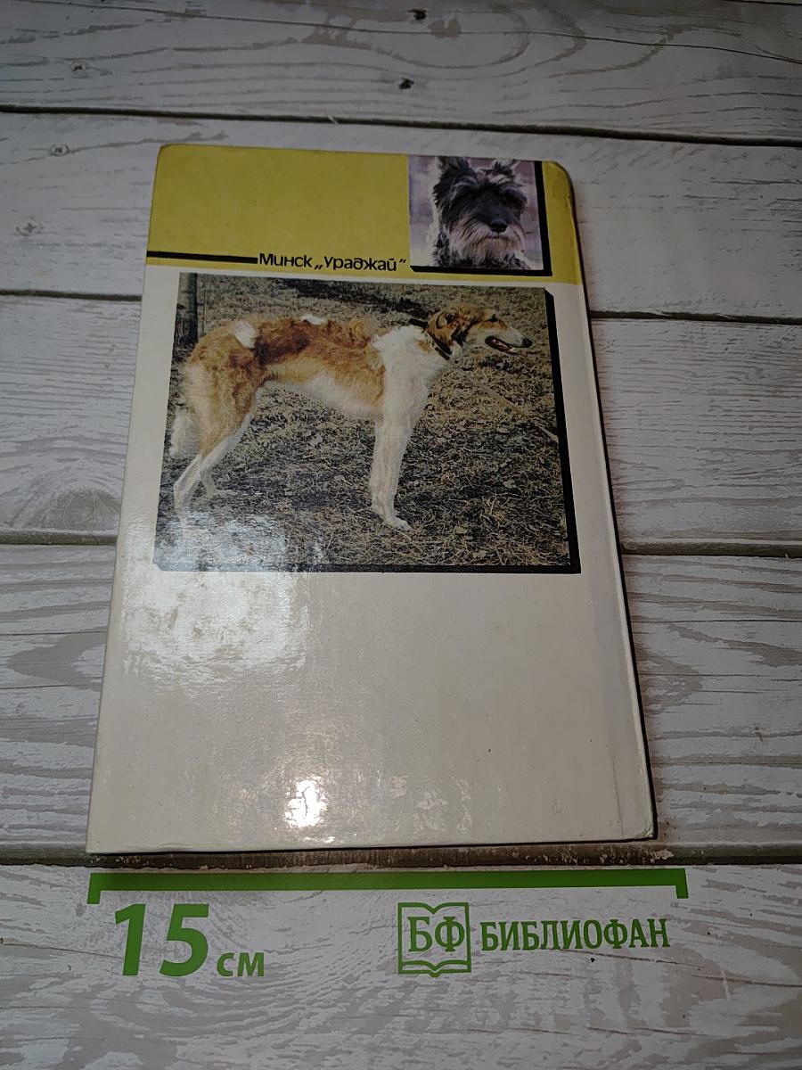 Наши четвероногие друзья