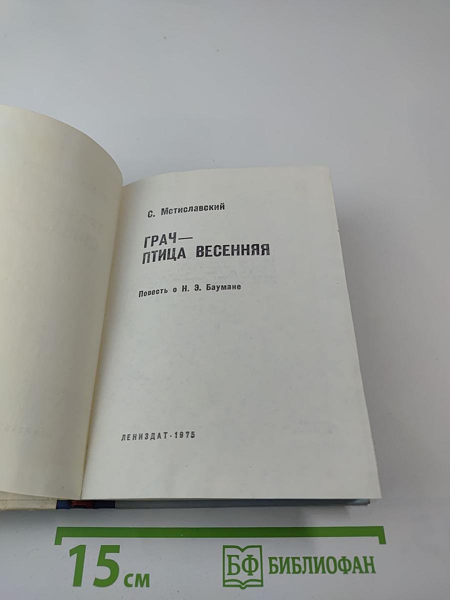 Грач — птица весенняя