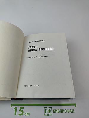 Грач — птица весенняя