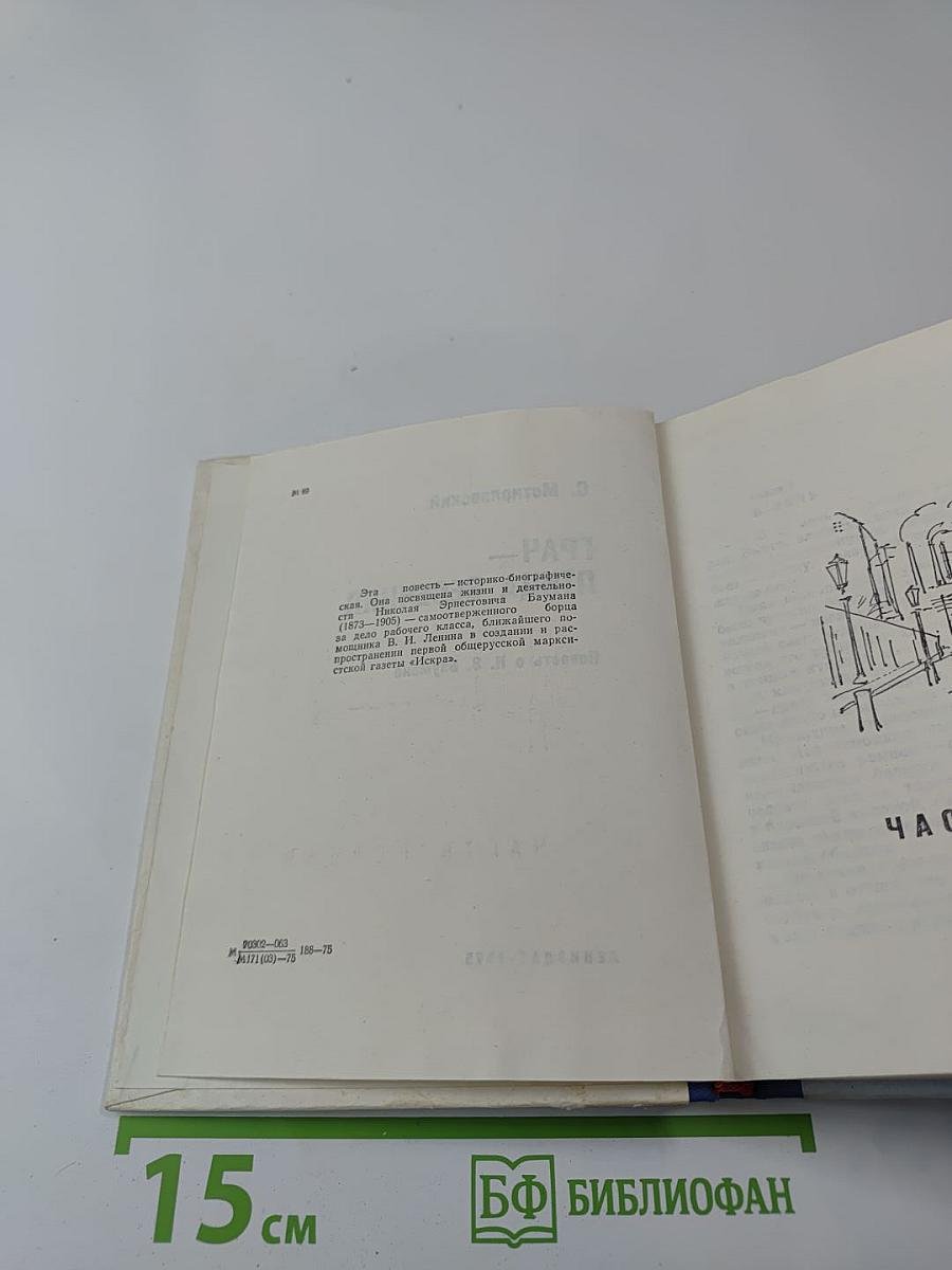 Грач — птица весенняя