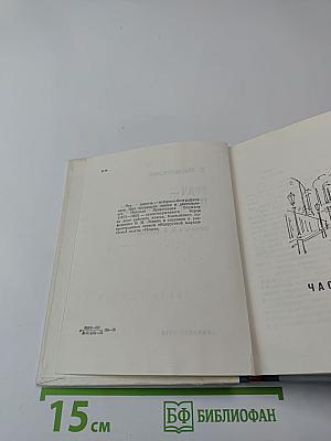 Грач — птица весенняя