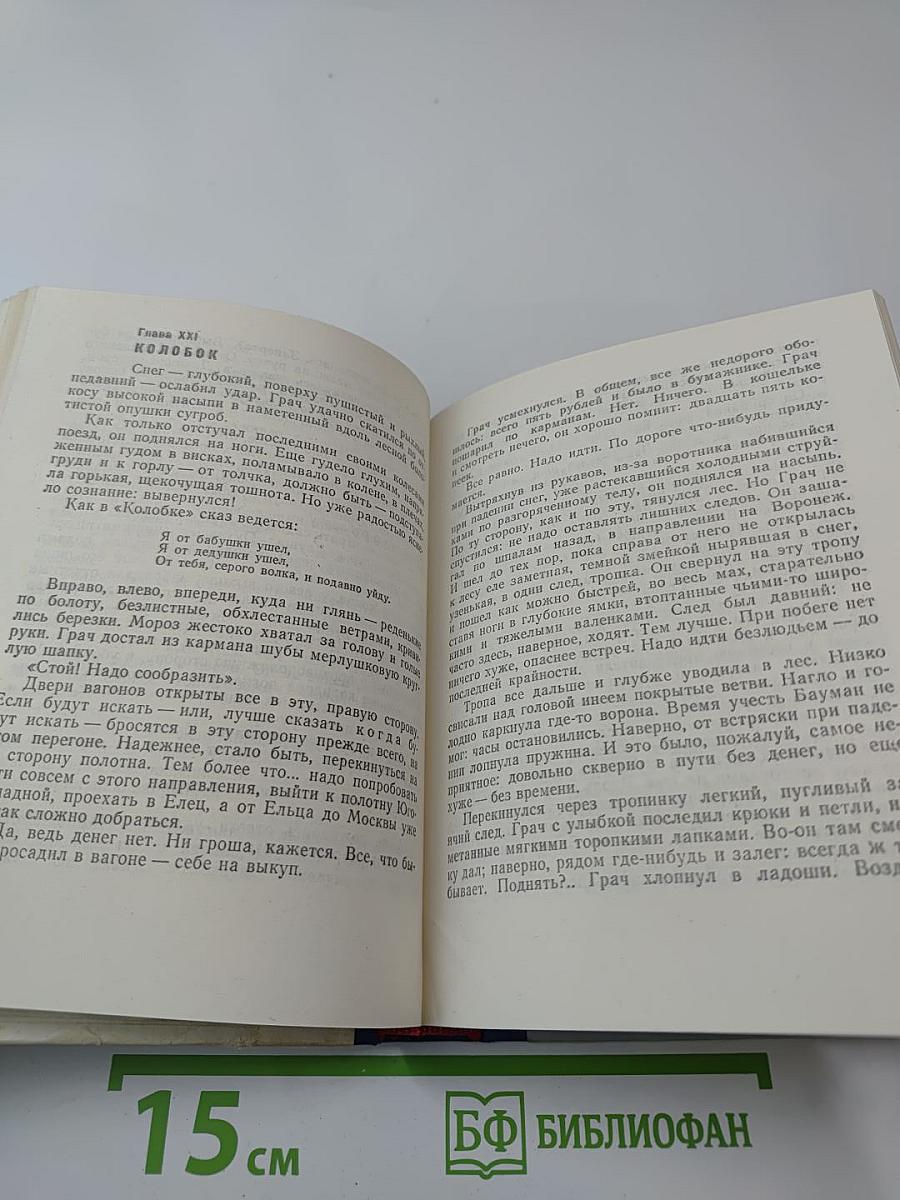 Грач — птица весенняя