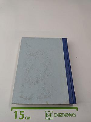 Грач — птица весенняя