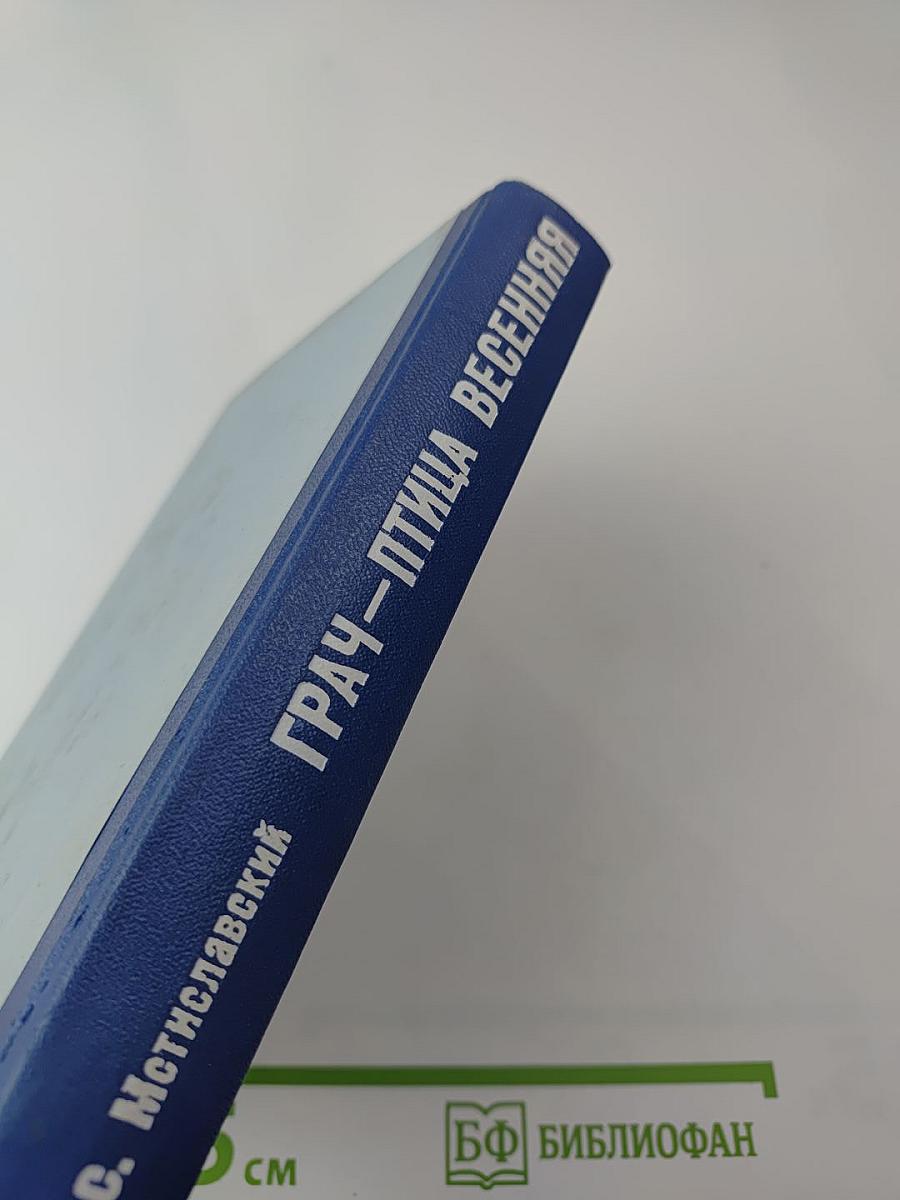 Грач — птица весенняя