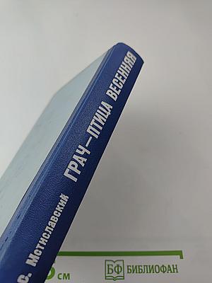 Грач — птица весенняя