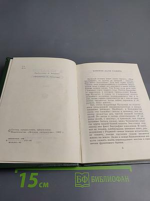 Сердцевина