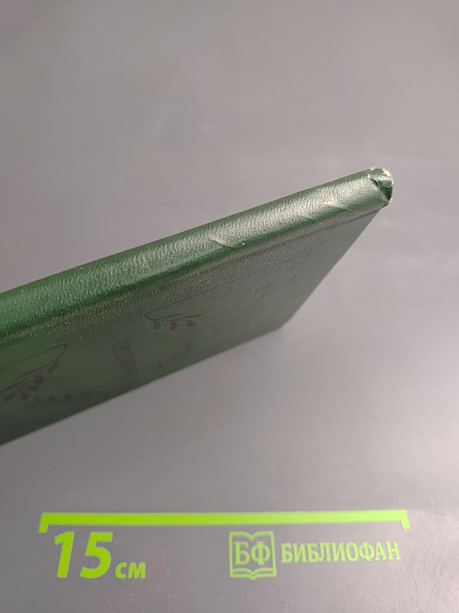 Сердцевина