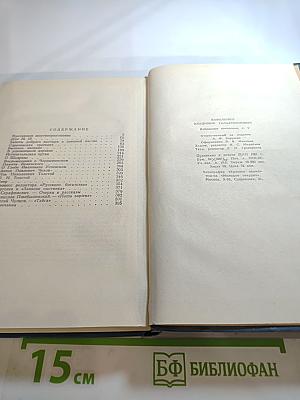 Собрание сочинений в пяти томах. Том 5: Публицистика, литературно-критические статьи, воспоминания, рецензии