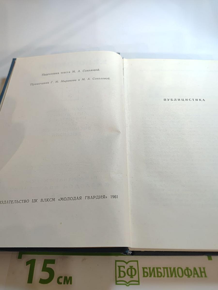 Собрание сочинений в пяти томах. Том 5. Публицистика, литературно-критические статьи, воспоминания, рецензии
