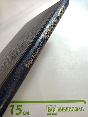 Поиски сути