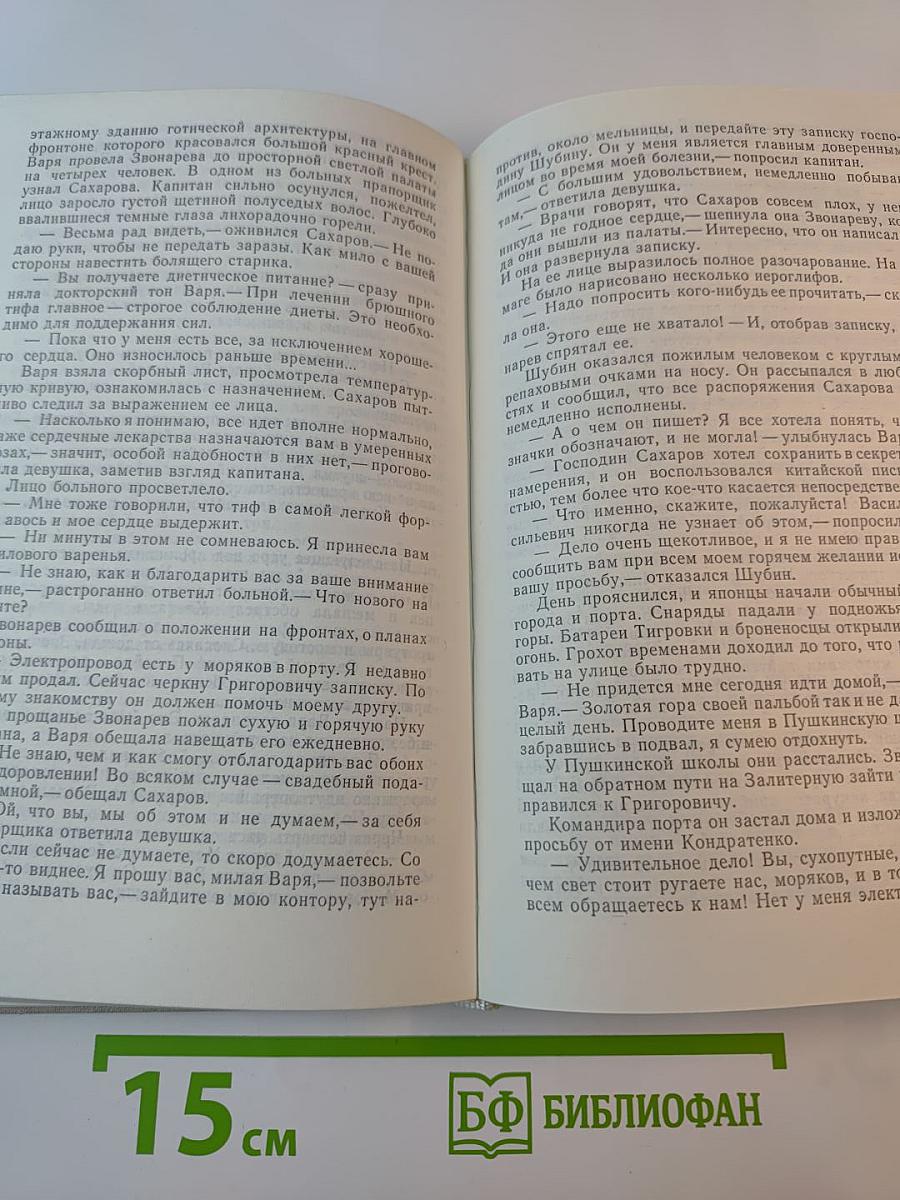 Порт-Артур. Роман в двух книгах. Книга вторая