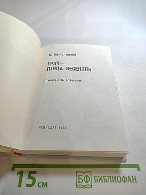 Грач – птица весенняя