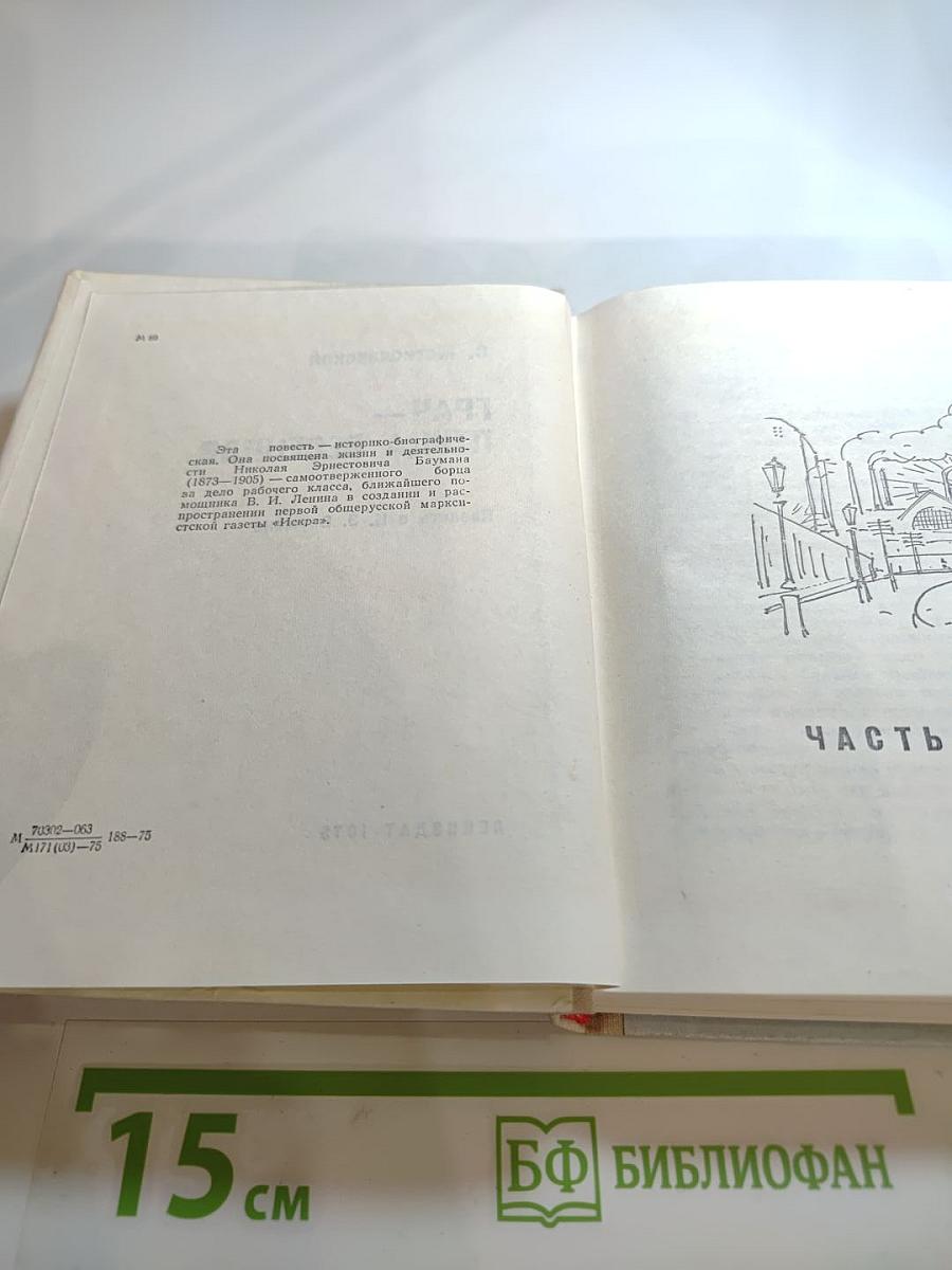 Грач – птица весенняя