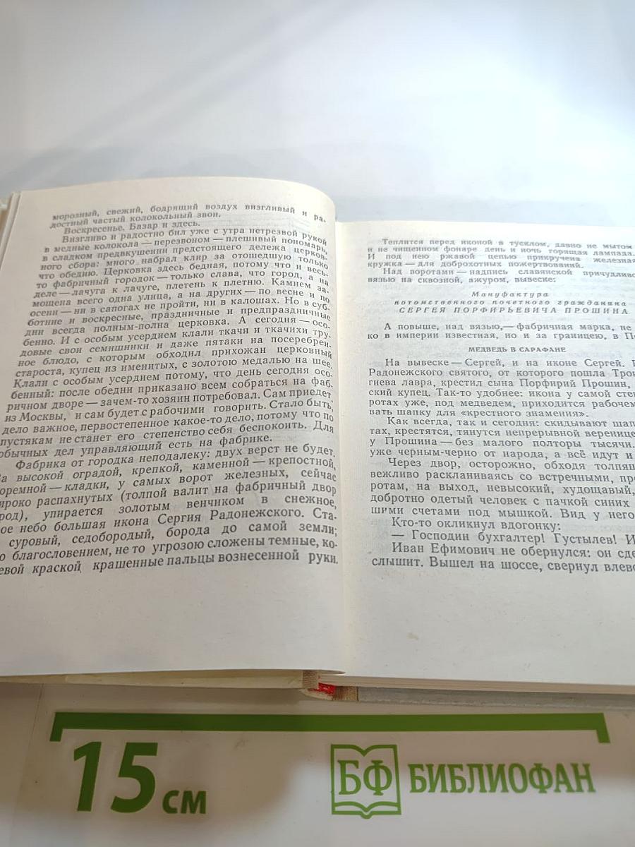 Грач – птица весенняя