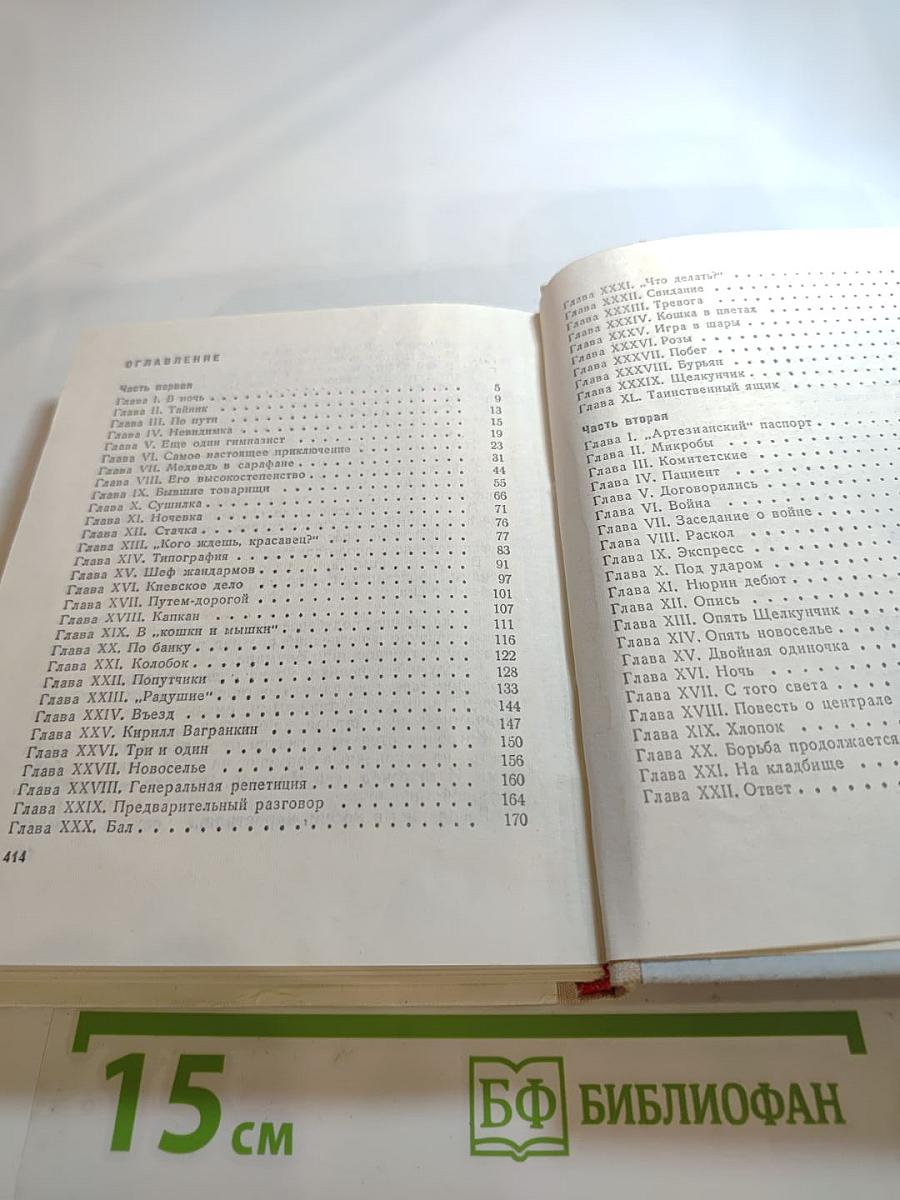 Грач – птица весенняя