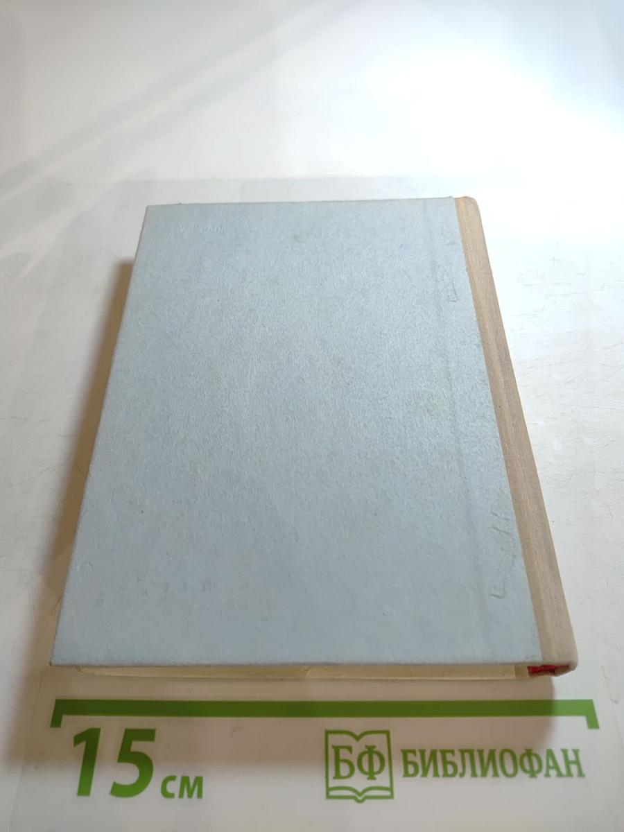 Грач – птица весенняя