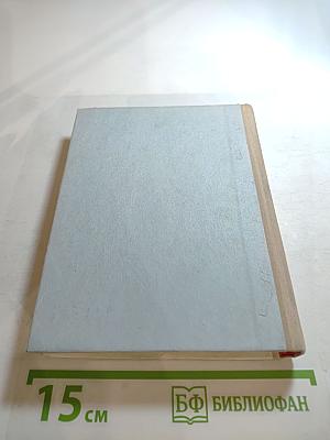 Грач – птица весенняя