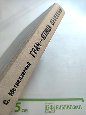 Грач – птица весенняя