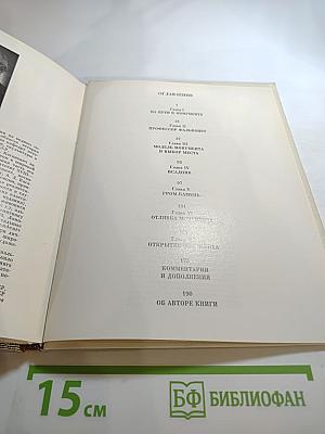 Медный всадник: История создания монумента