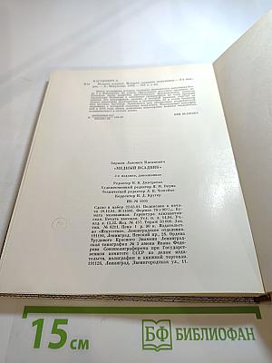 Медный всадник: История создания монумента