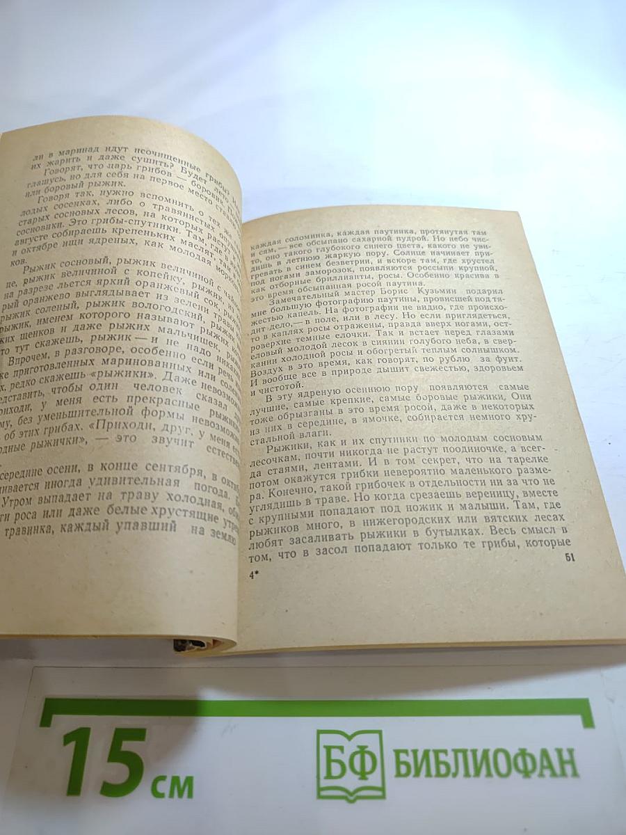 По грибы. Заметки фенолога