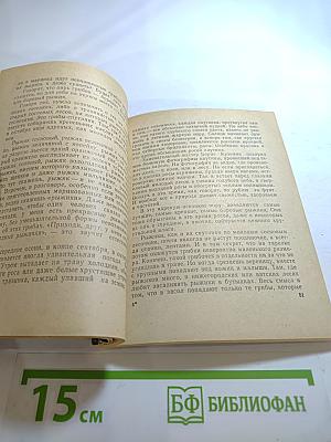 По грибы. Заметки фенолога