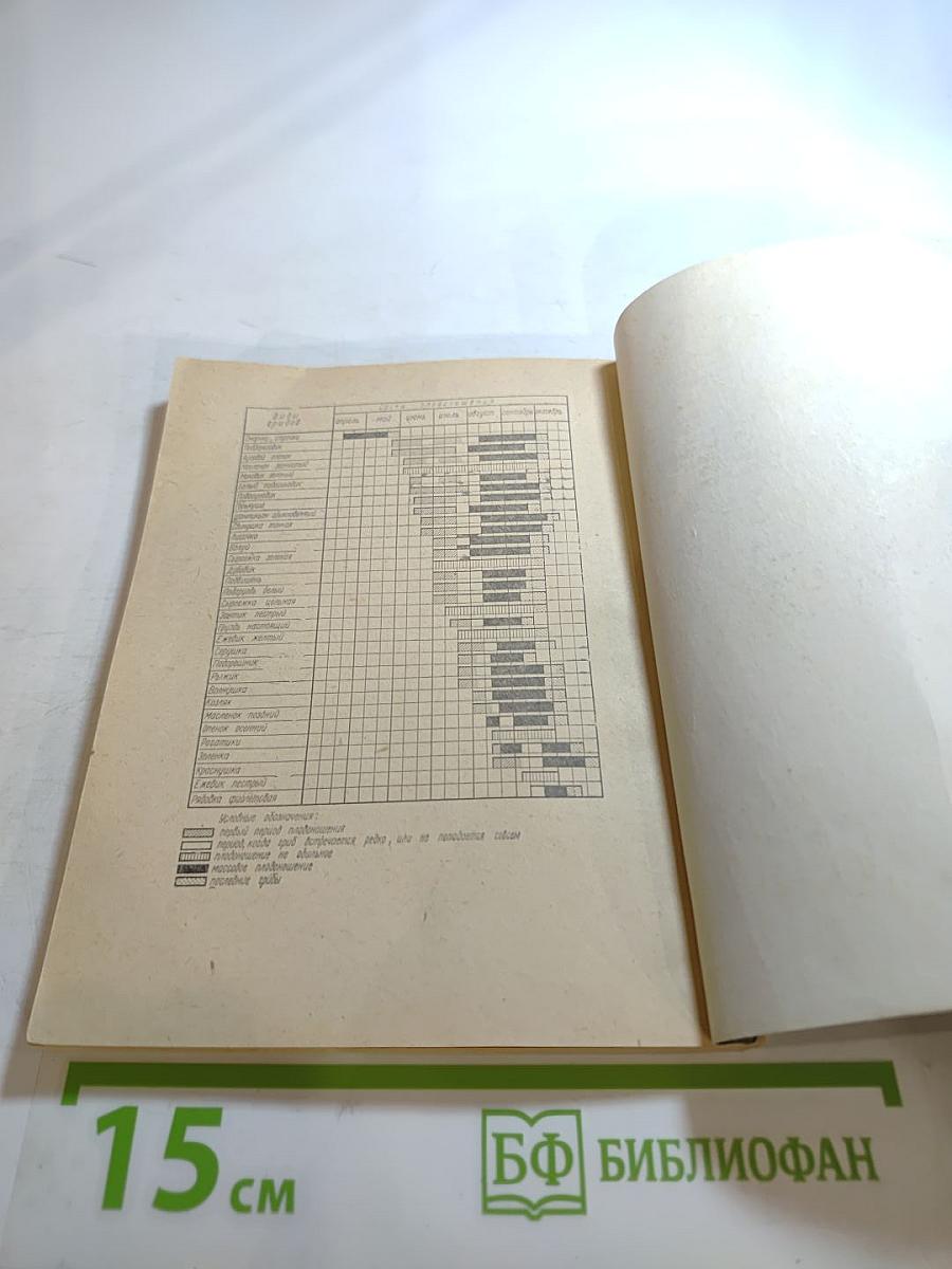 По грибы. Заметки фенолога