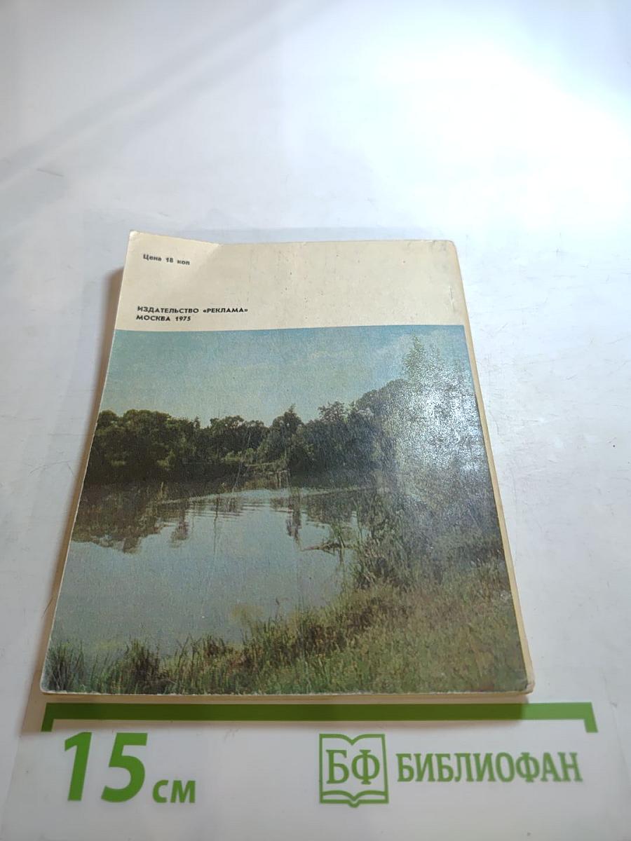 По грибы. Заметки фенолога