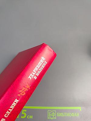 Ударивший в колокол. Повесть об Александре Герцене