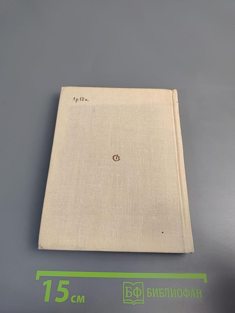 Фестиваль: рассказы