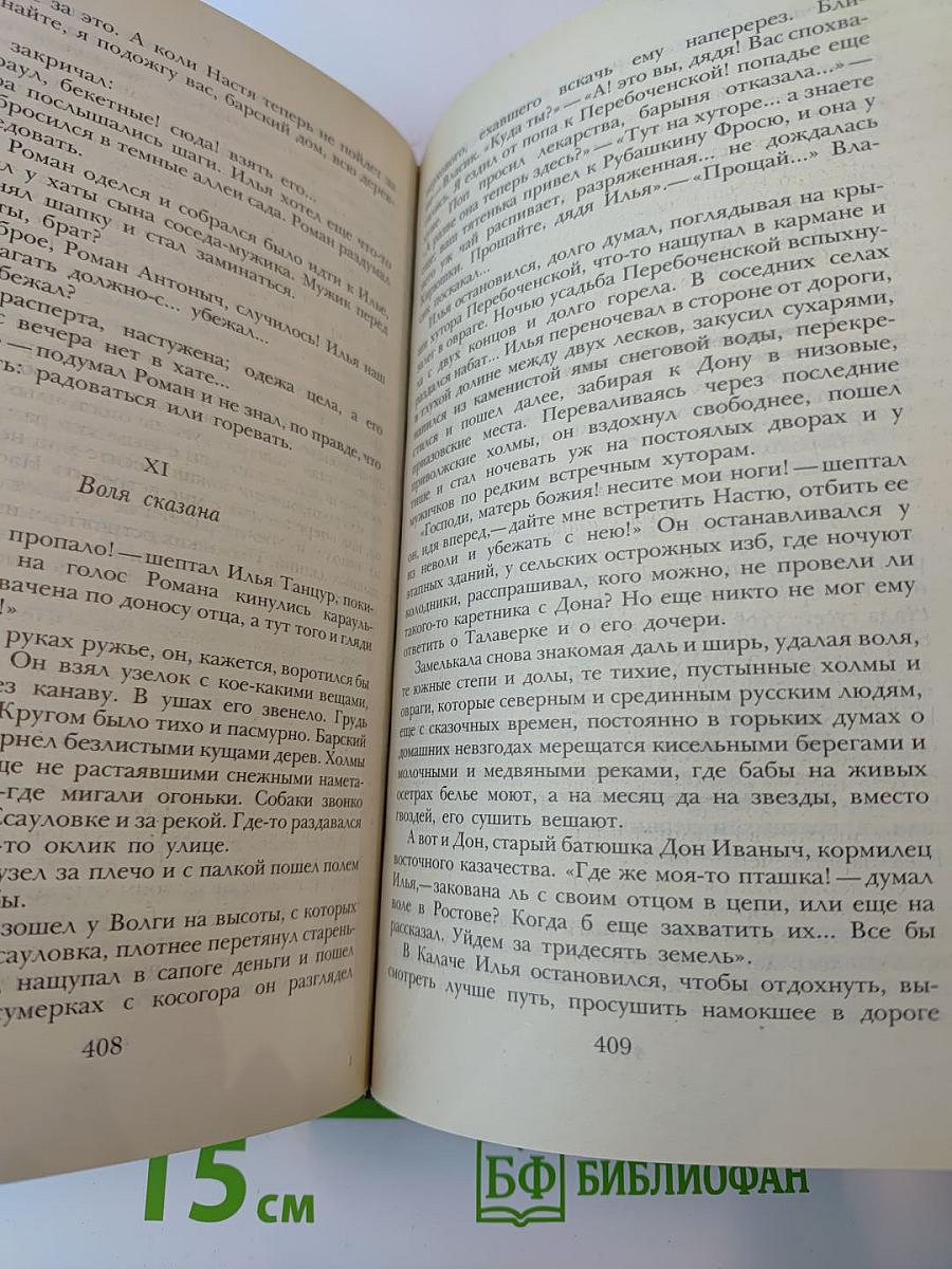 Беглые в Новороссии. Воля. Княжна Тараканова