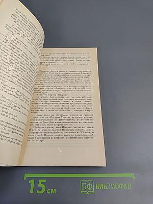 Покушение на миражи. Чистые воды Китежа