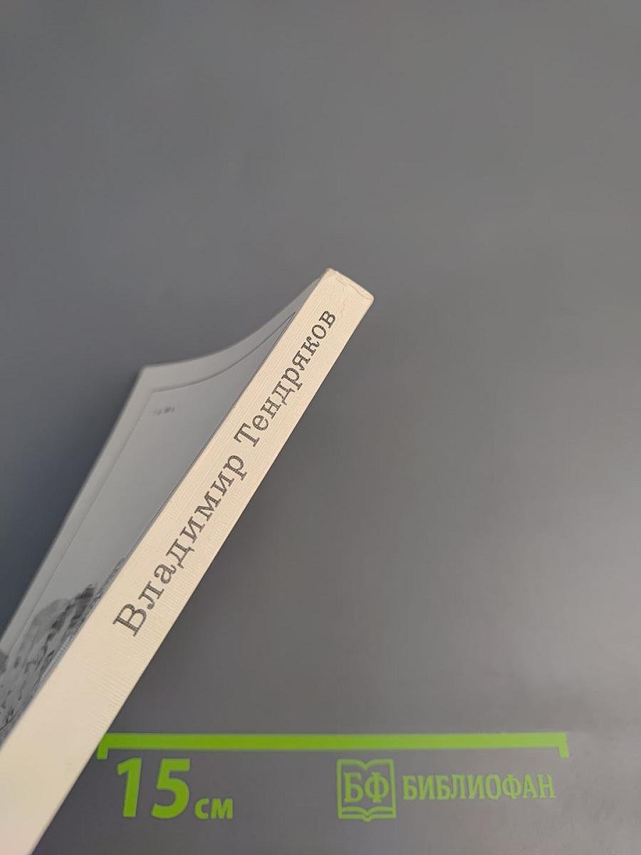 Покушение на миражи. Чистые воды Китежа