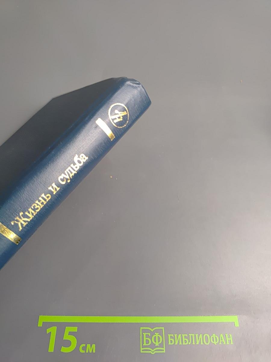 Жизнь и судьба. Том первый