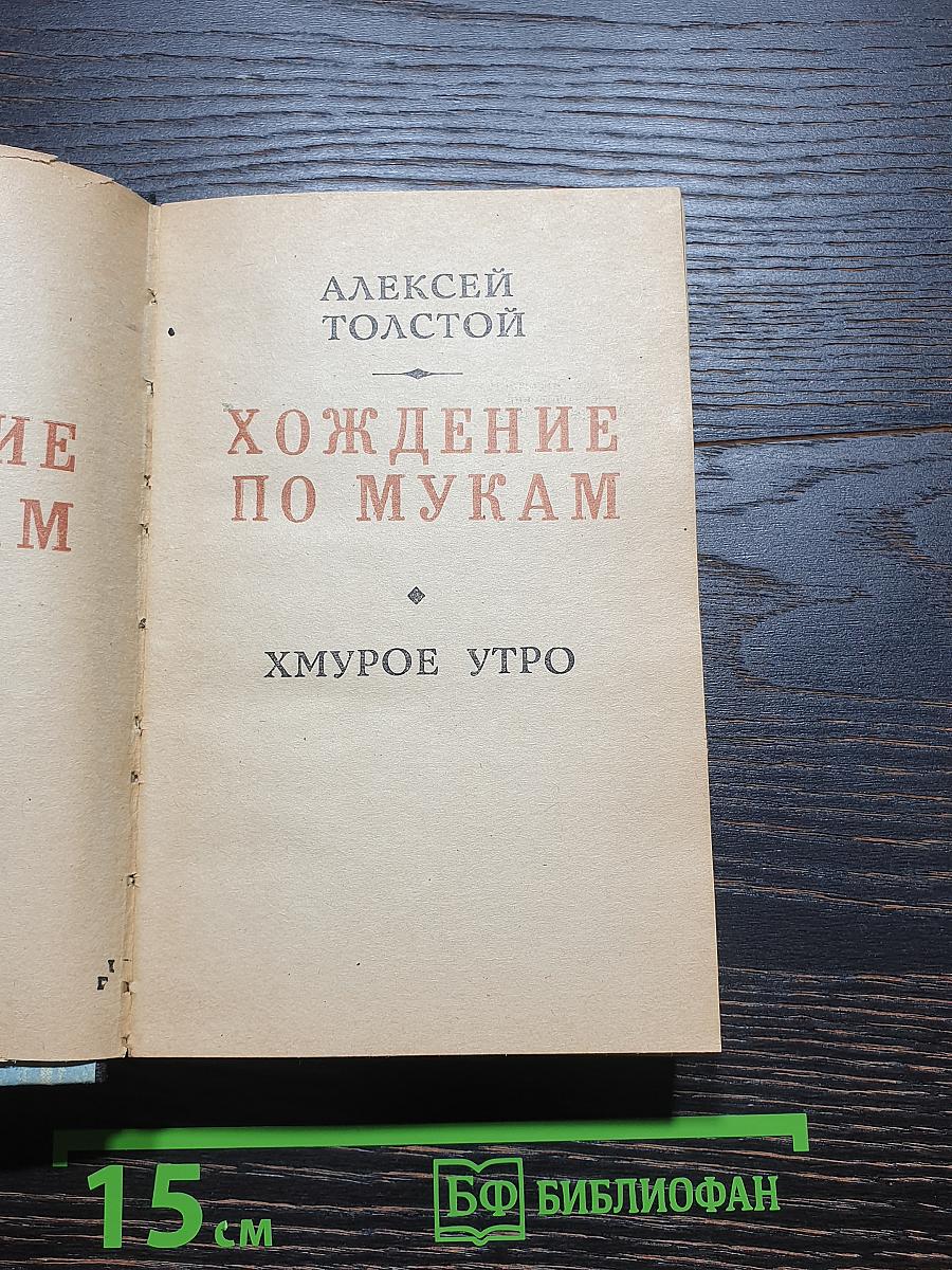 Хождение по мукам