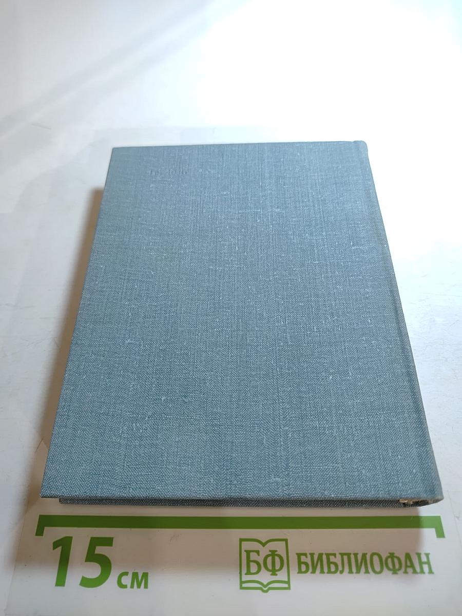 Домой. Все только начинается. Дорога вся белая