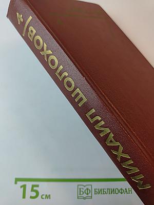 Тихий Дон. Роман в четырех книгах. Том 4