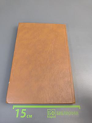 Литературный язык допушкинской России