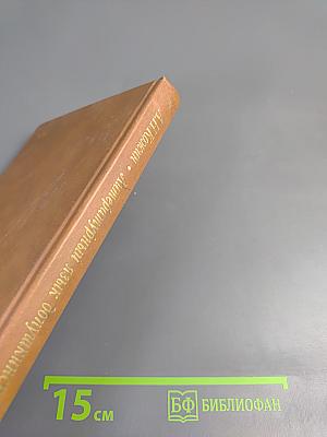 Литературный язык допушкинской России