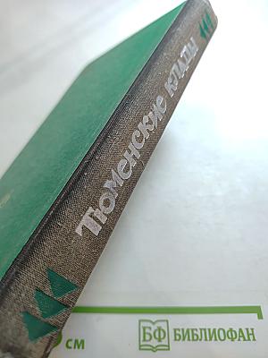 Тюменские клады