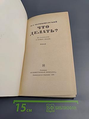 Что делать?